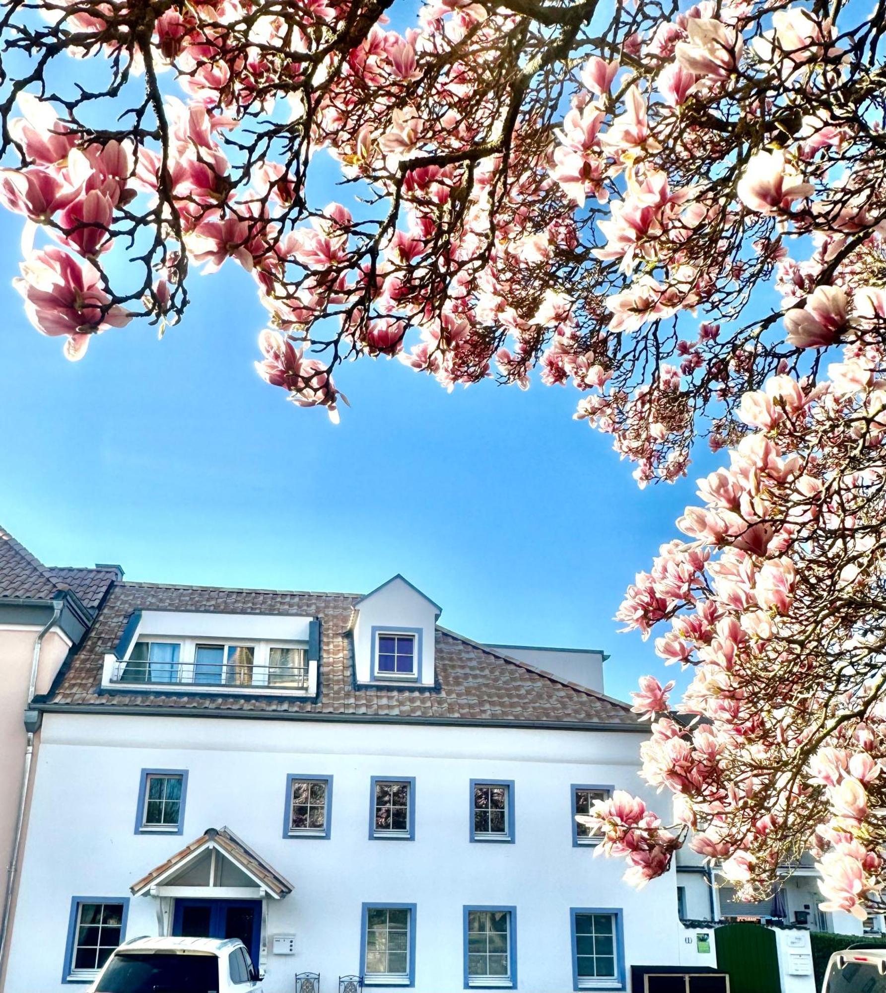 Charmantes Haus Naehe Bonn Koeln Messe Phantasialand Bornheim  Extérieur photo